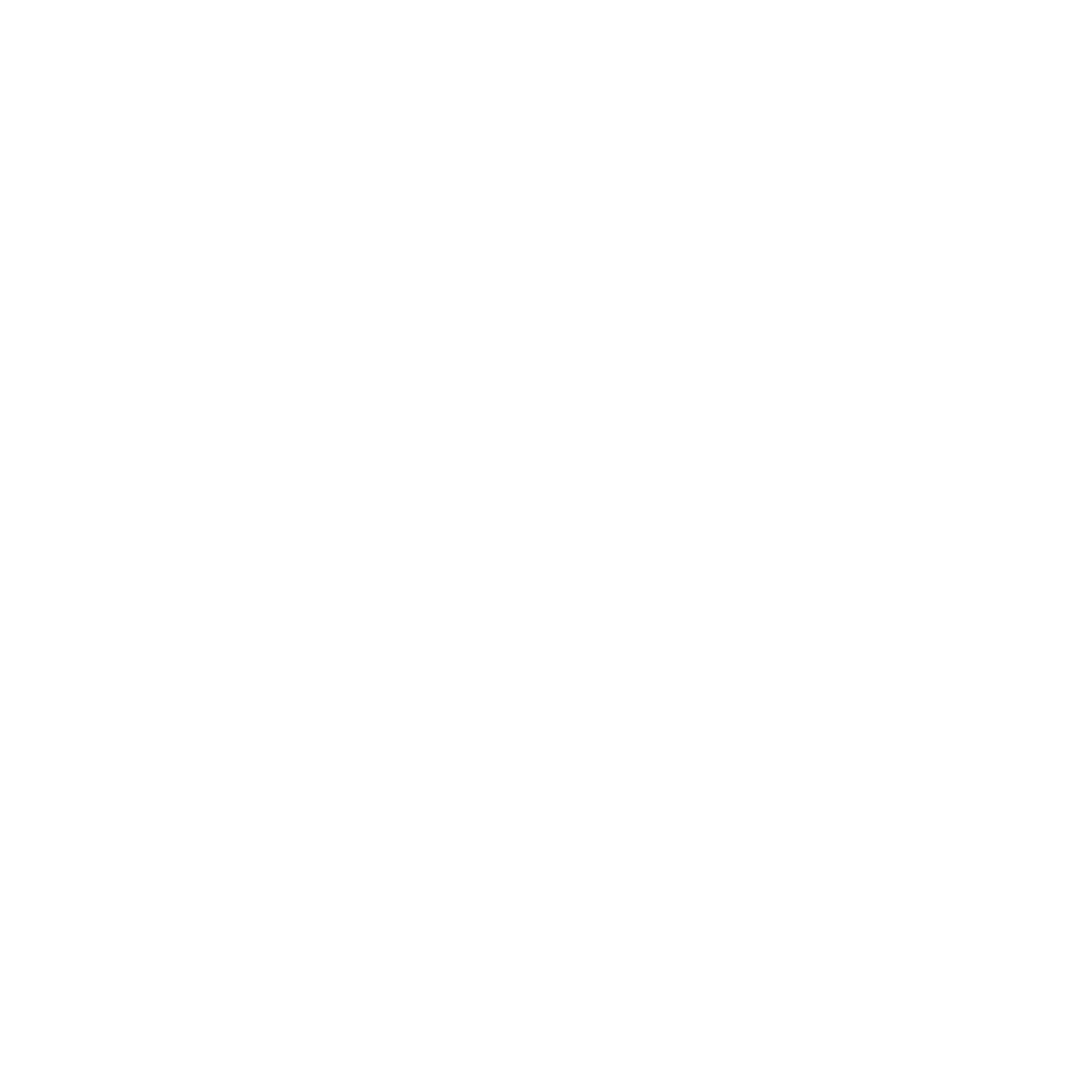 Bergmann