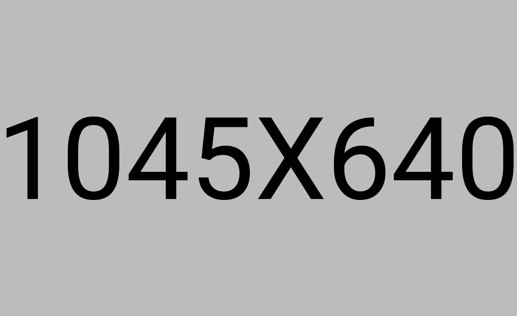 Website erstellen lassen